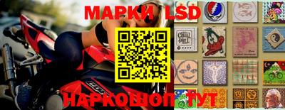 стаф Донской