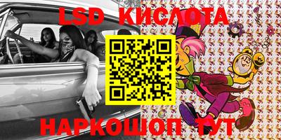 стаф Донской